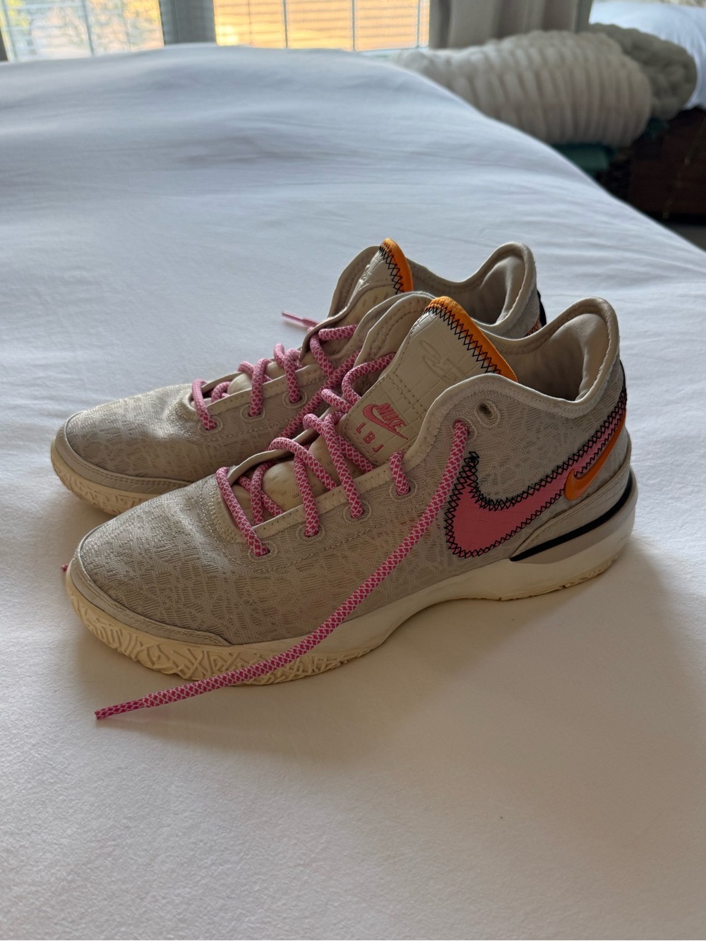Nike Zoom LeBron basketball shoes